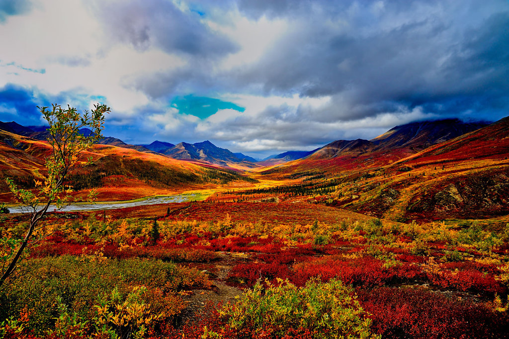 Yukon Idnian Summer