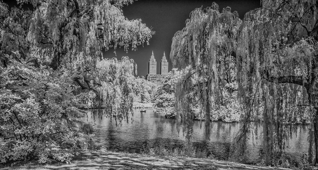 NYC Central Park IR