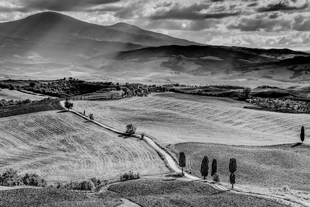 Tuscany Landscape