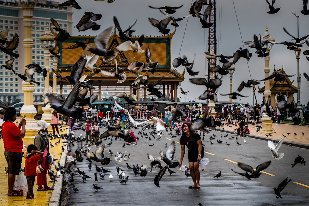 Cambodia-Doves