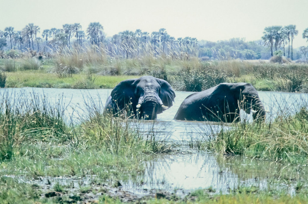 Botswana