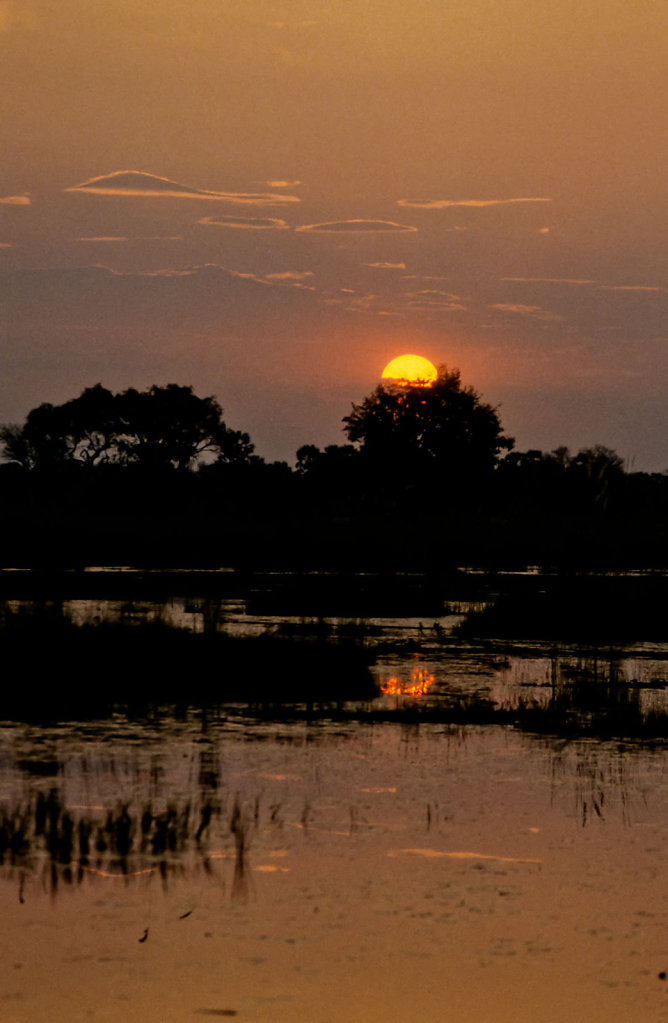 Botswana-Safari-024.jpg
