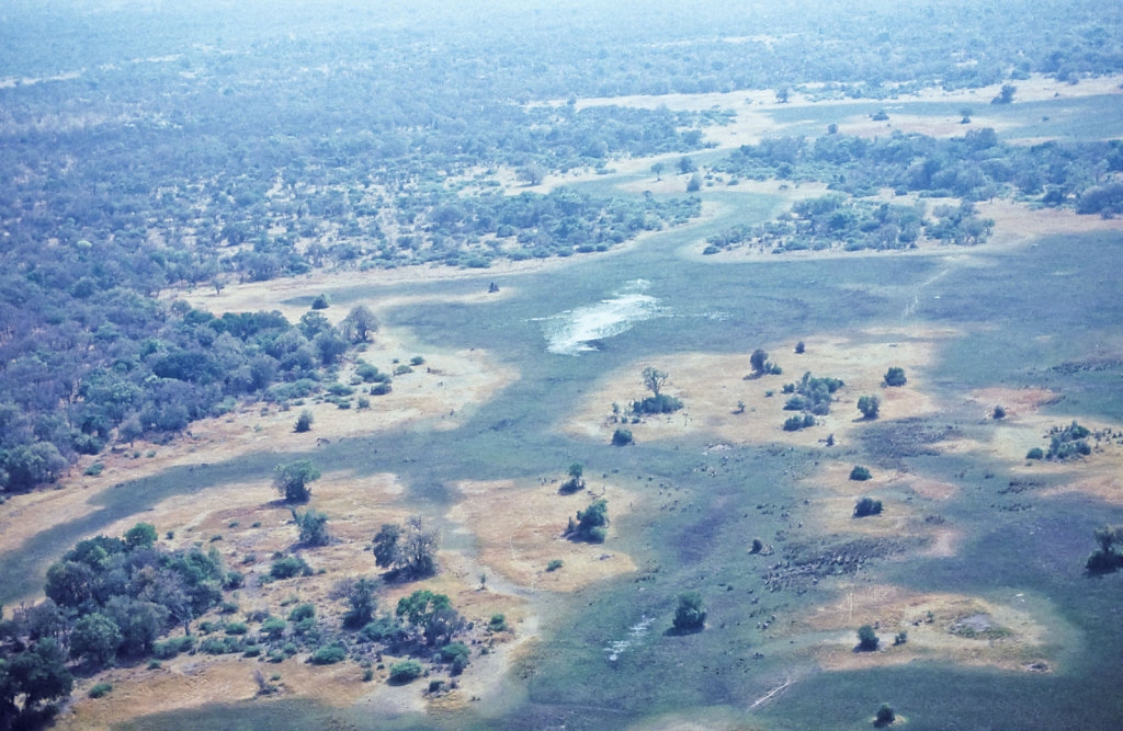 Botswana-Safari-026.jpg