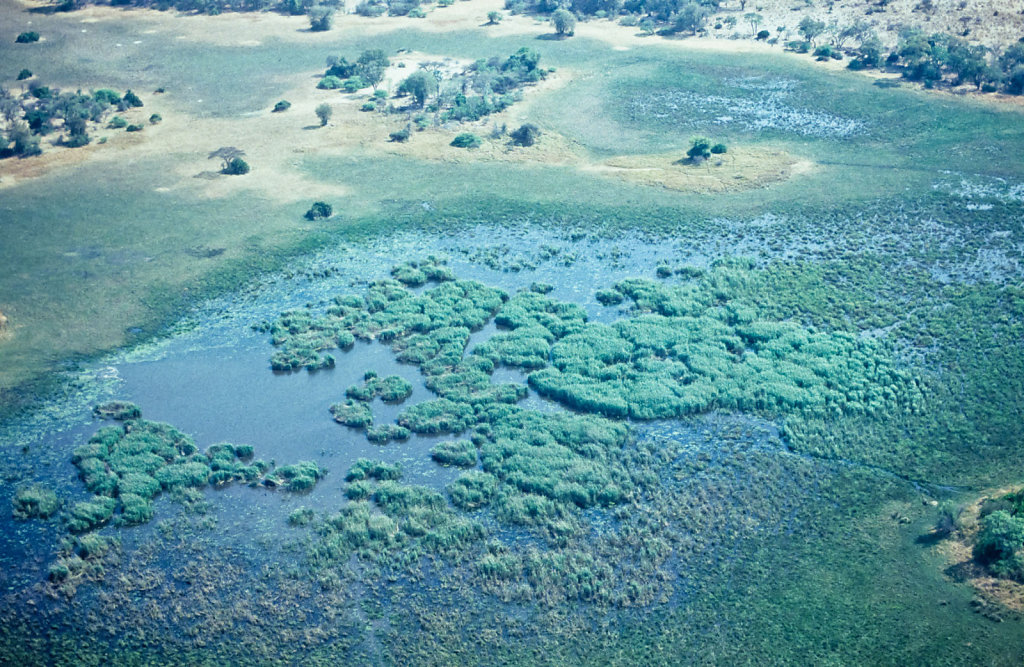 Botswana-Safari-027.jpg