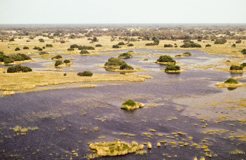 Botswana-Safari-028.jpg
