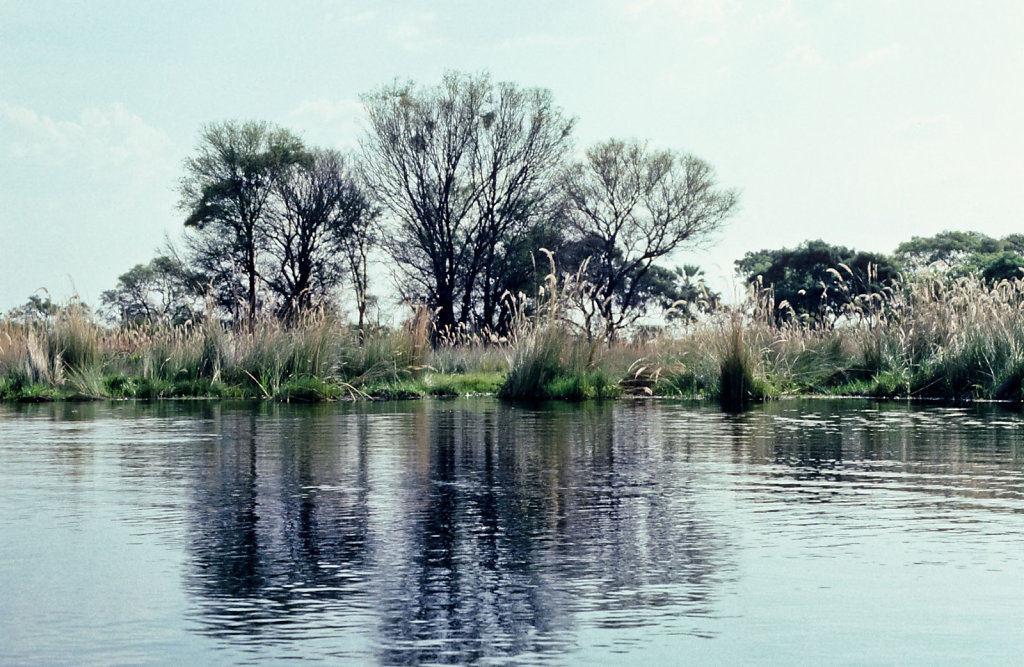 Botswana-Safari-029.jpg