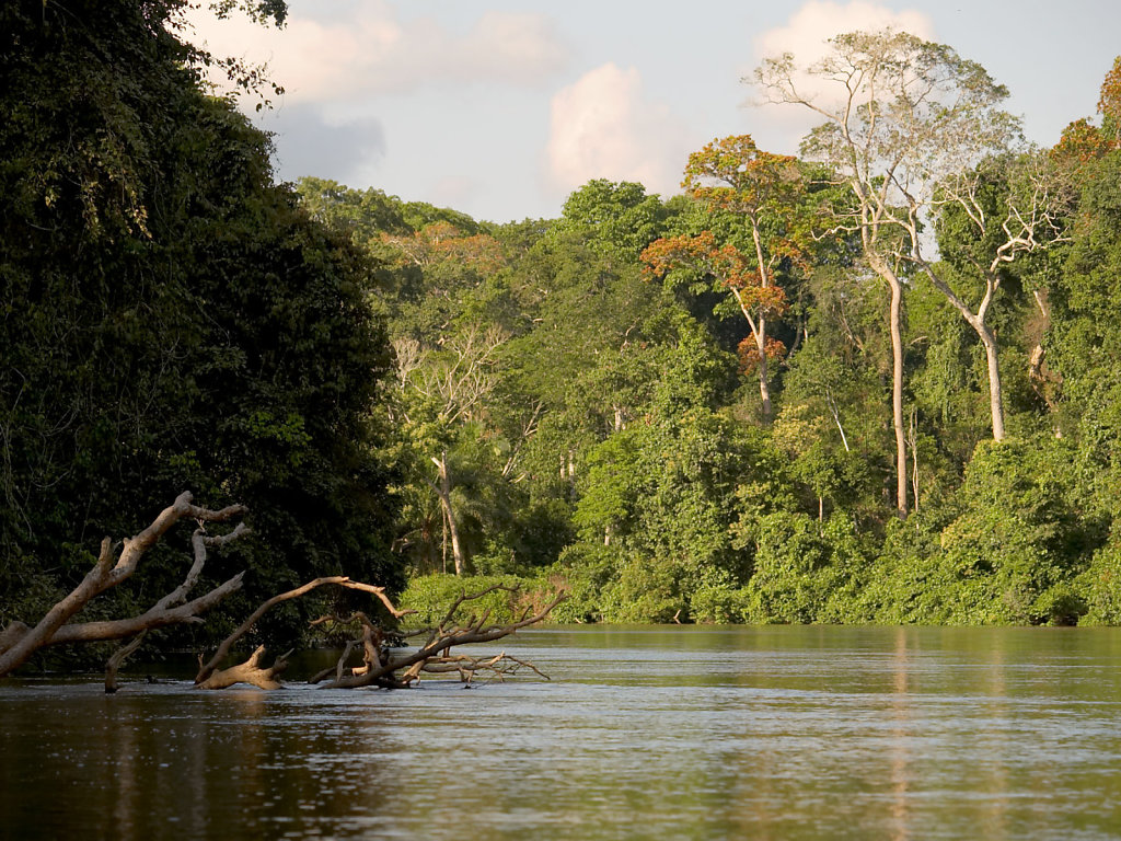 Congo