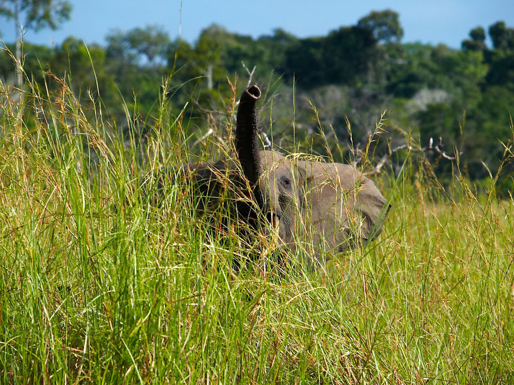 Congo-0035-31102005-07-30-44.jpg
