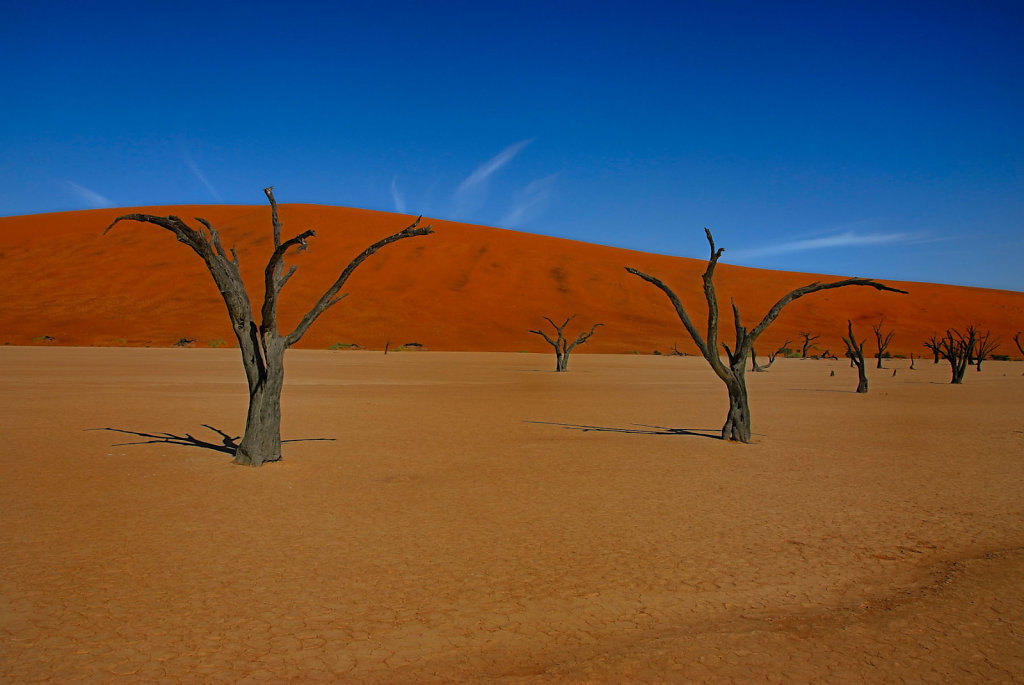 Namibia-04052007-10-19-06-D200-201538-p1.jpg