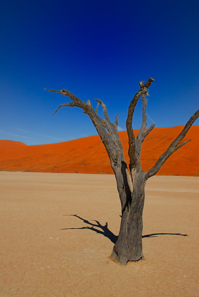 Namibia-04052007-10-19-54-D200-201543-p1.jpg