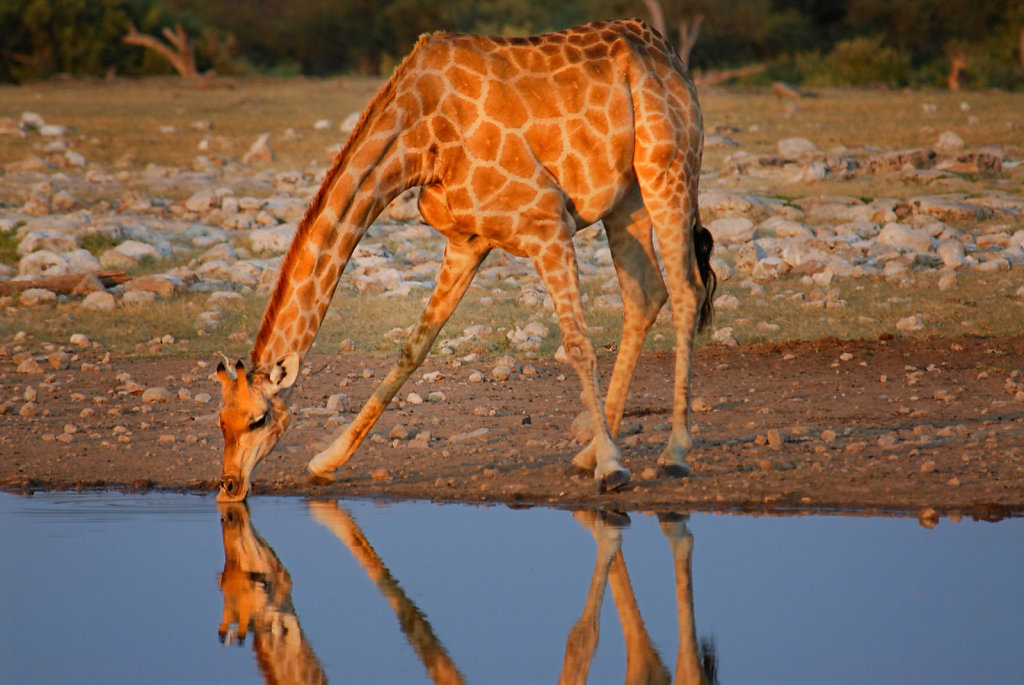 Namibia-25042007-12-17-56-D200-200170-p1.jpg