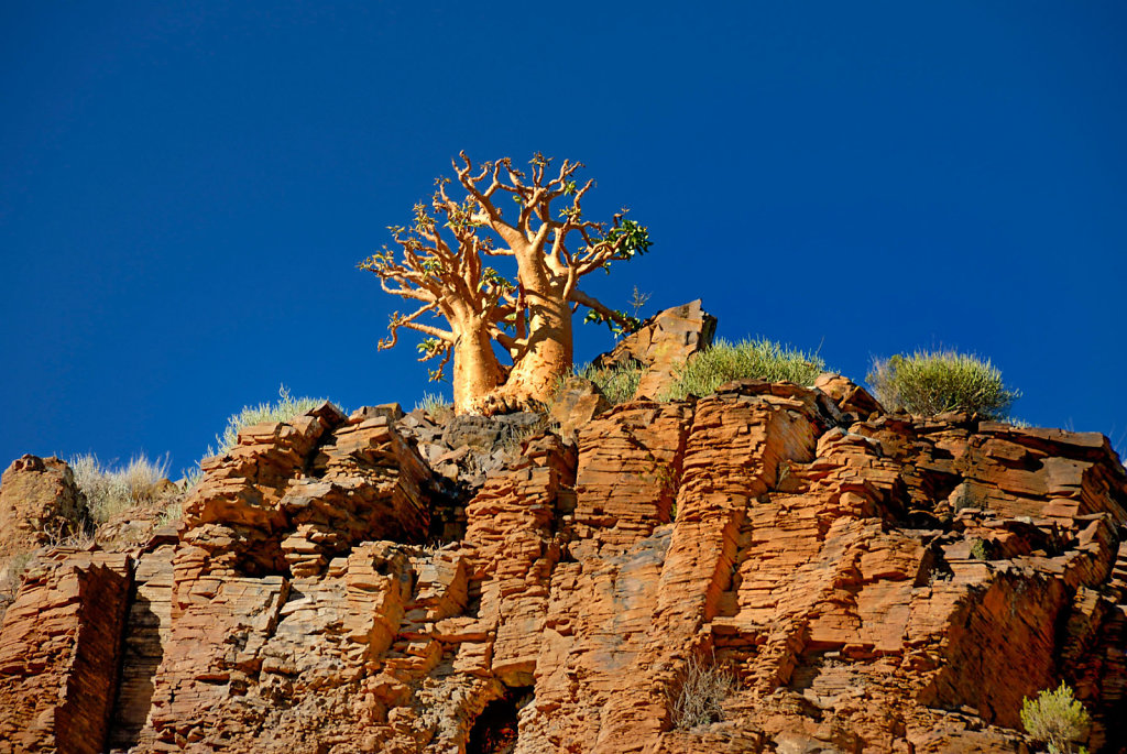 Namibia-28042007-16-11-10-D200-200582-p1.jpg