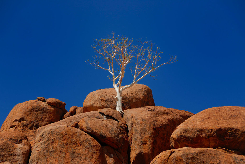 Namibia-30042007-11-33-24-D200-200998-p1.jpg