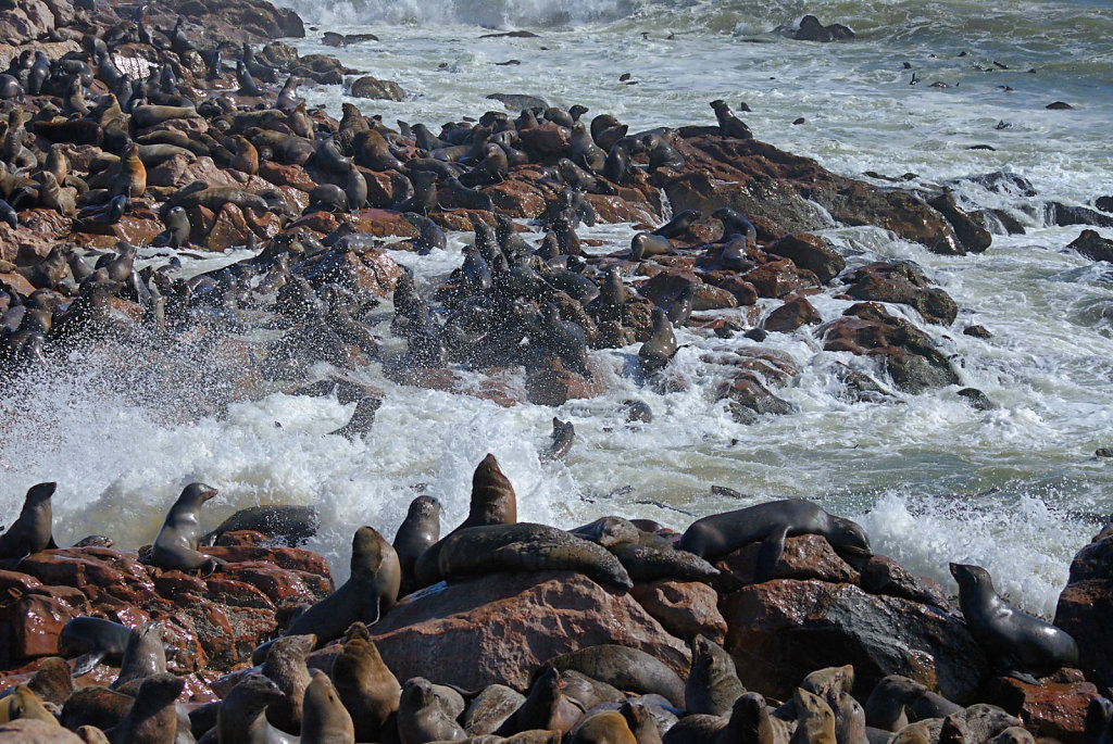 Namibia-01052007-08-58-11-D200-201180-p1.jpg