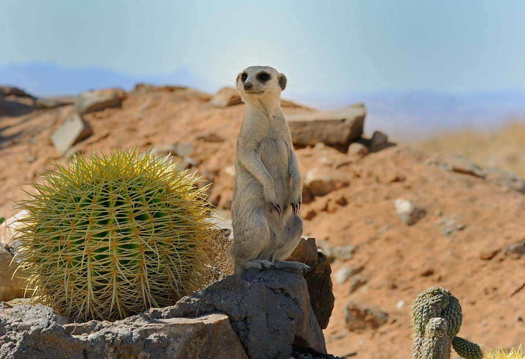 Namibia-03052007-08-33-58-D200-201317-p1.jpg