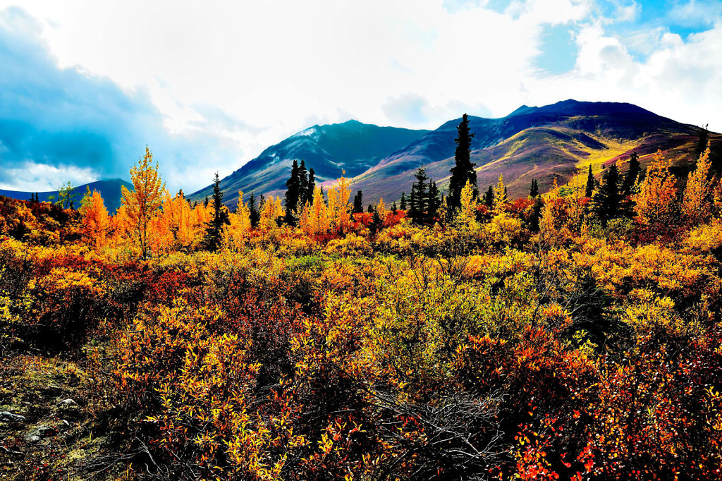 Yukon