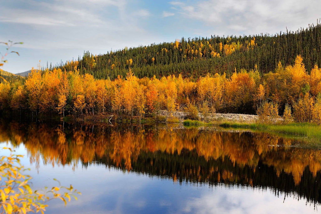 Yukon