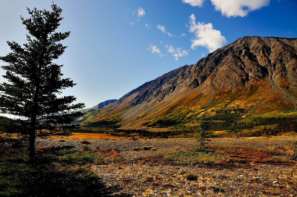 Yukon