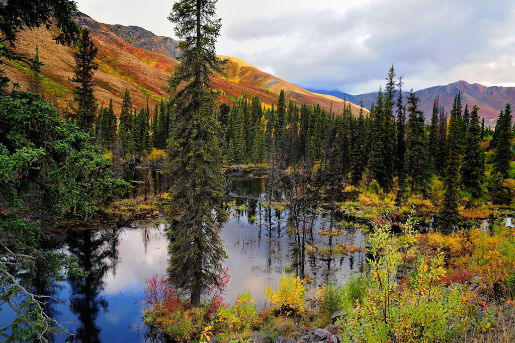 Yukon