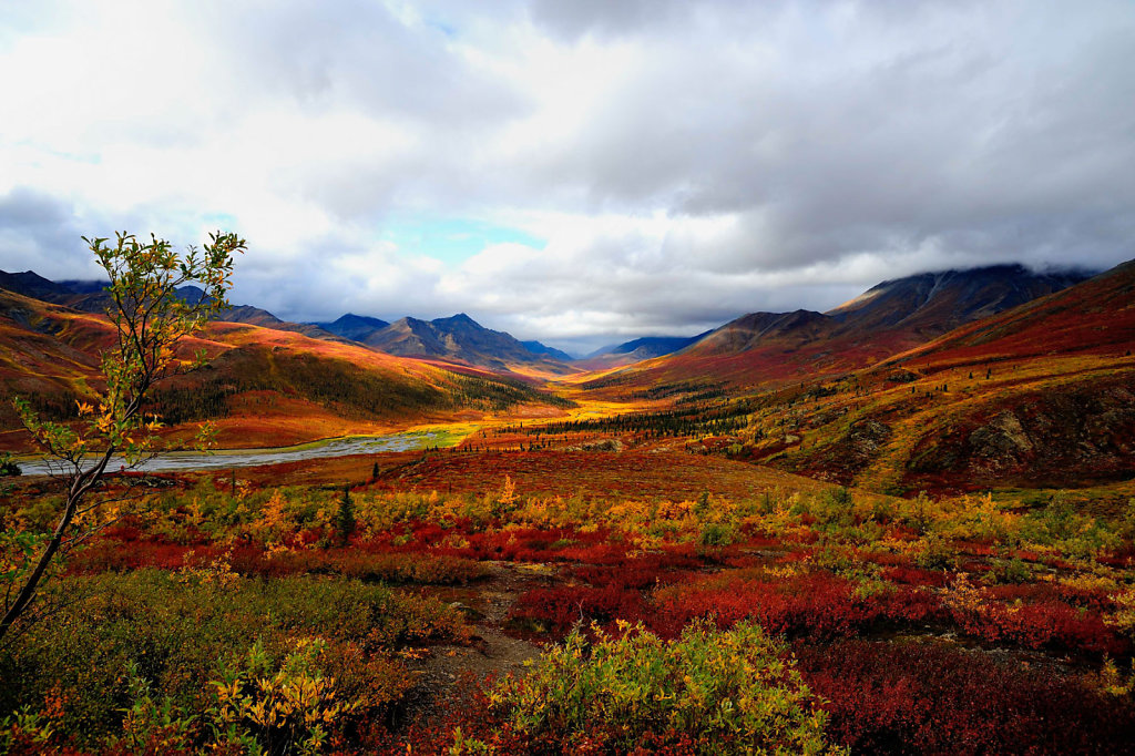 Yukon