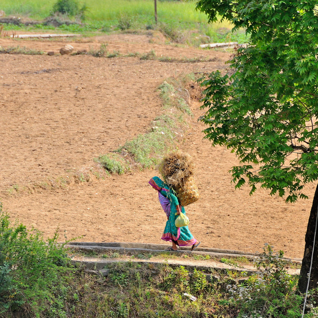 Indien 2009