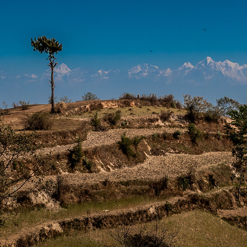 0563-Nepal-120322-06-14-37.jpg